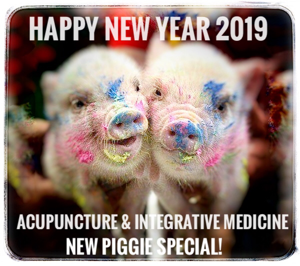 Wee weee squeeee… HAPPY NEW YEAR, PIGGIES! 